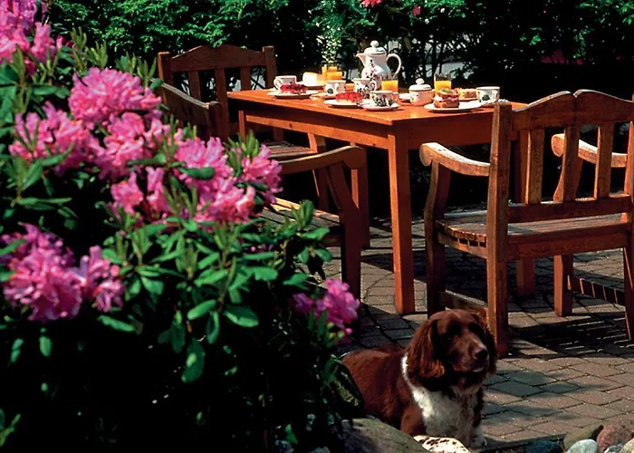 Lägenhet Mit Flair Fehmarn